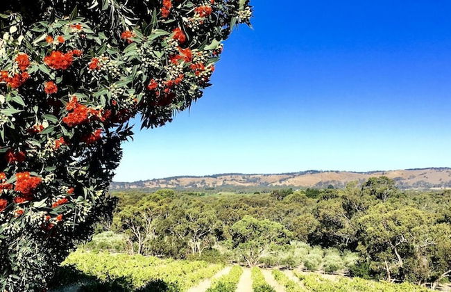 Karawatha Cottages B&B - Foto 33