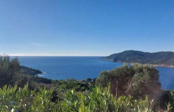 CAP AZUR ILE du LEVANT - Foto 13