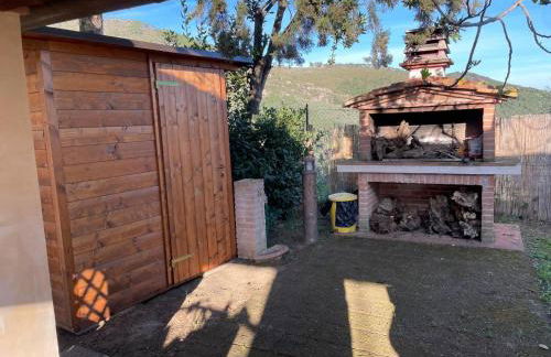 Villa in Tuscany with Pool and Olive Grove - Photo 30