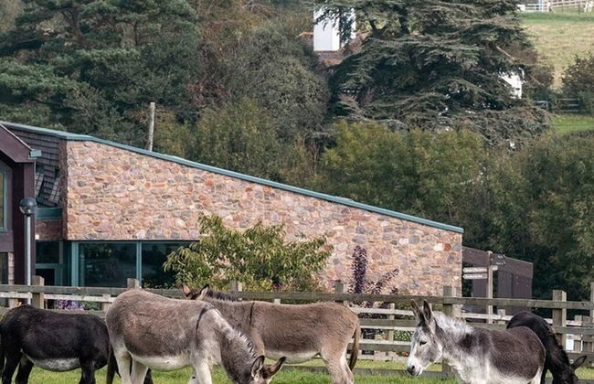 Seaside Chalet Retreat in Sidmouth - Photo 8