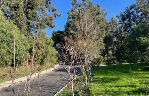 Specious 6000 sf privat gated villa with View - Foto 11