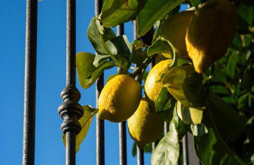 A 15 Miglia da Roma - Foto 21