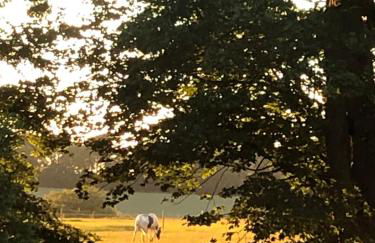 The Granary, Wolds Way Holiday Cottages, spacious 3 bed cottage - Foto 17