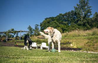 Finca La Naguada Casa Rural en Asturias - Foto 31