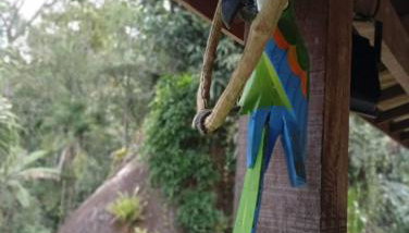 Aconchego da Cachoeira - Foto 5