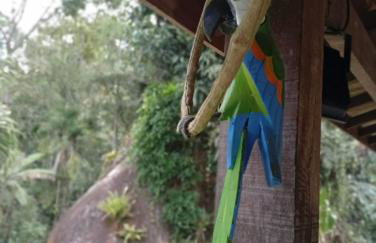 Aconchego da Cachoeira - Foto 5