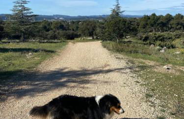 Vacances face au Luberon - Foto 40