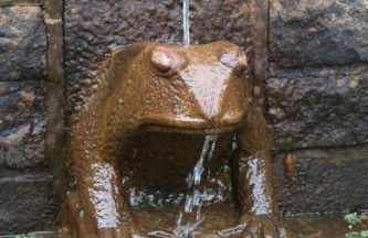 Ferienhaus Thale - Foto 43