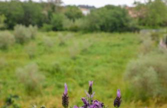 Coro Cozy House - Photo 31