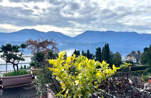 Elizaveta - Photo 24