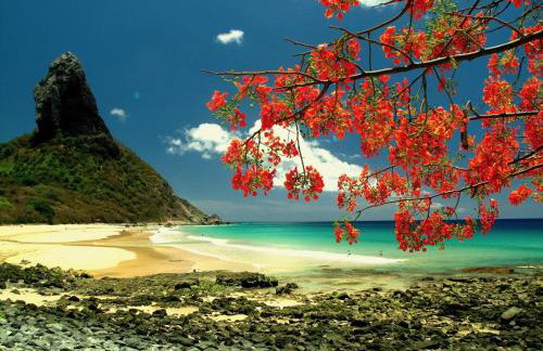 Tiny House Noronha - Foto 13