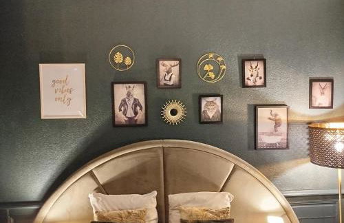 Nancy Vieille ville Stanislas - Foto 50