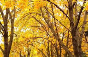 Downtown City Hall close by Kimmel Center 1BD - Photo 27