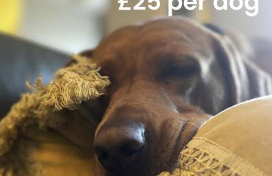 Luxury Retreat - Foto 37