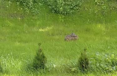 Apartament Zamkowe Wzgórze - Foto 46