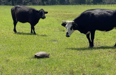 Luxurious Farm House 63 Acres - Foto 64