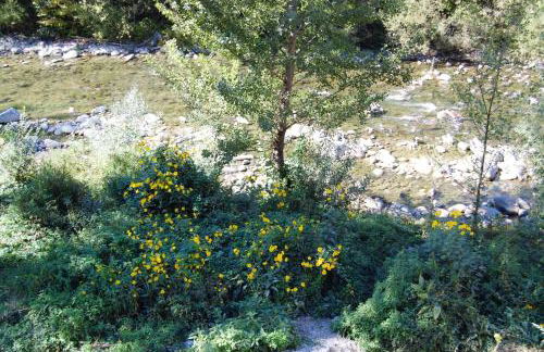 Villa ULQINI - Foto 8