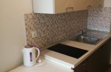 Apartman Put - Photo 9