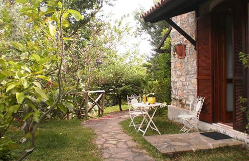 La Gabbianella e il Gatto - Foto 2