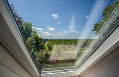 Apfelhof Wegener: Elstar & Topaz - Foto 11