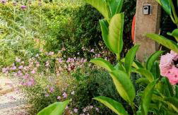 Evilion house inTholo. Sea, nature, relaxation! - Foto 56