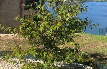 Casa da Ramona - Foto 42