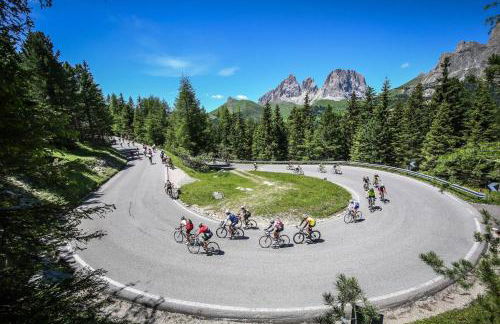 Dolomiti Luxury Mountain View SKI-IN SKI-OUT - Foto 48