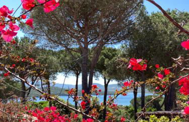 Conca Verde - Photo 45