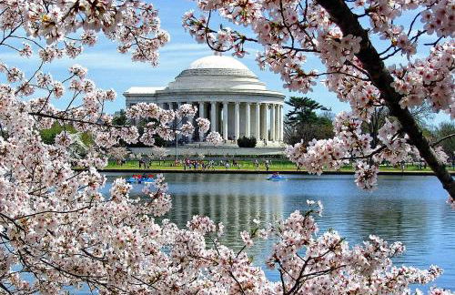 Stylish 4BR Home Near Columbia Heights & Rooftop - Foto 54