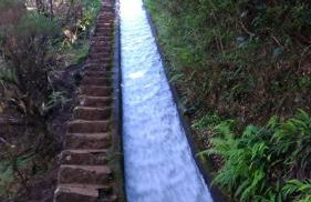 Ape Esquerdo - Foto 25