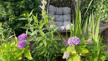 Lovely Charmouth cottage with log fire & garden close to beach - Foto 5, Garden