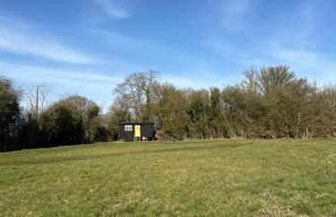 'Russet' Hut on fruit farm - Foto 26