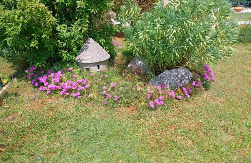 Apartman Marija - Foto 52