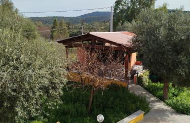 The Apricot House, alle porte di San Teodoro - Foto 41