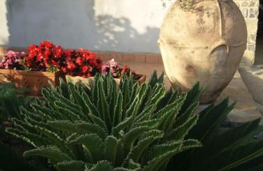 La casa del Maestro - Foto 35