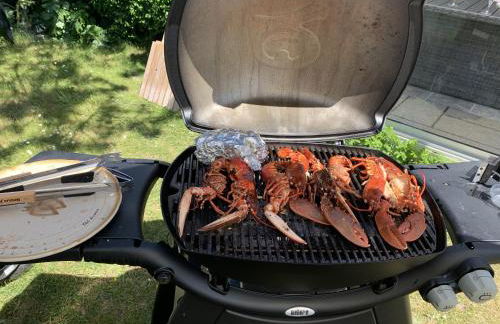 Ar Marc'h-Mor Glaz beach 60 meters - Foto 13