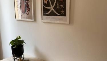 Family Baia 2, Apartments Baia Azzurra - Photo 3