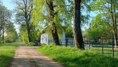 Kleine Ferienwohnung am Häufchen Höfchen - Foto 2