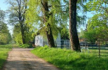 Kleine Ferienwohnung am Häufchen Höfchen - Foto 2