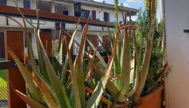 Casa Clusane d'Iseo 2 passi dal lago - Foto 4