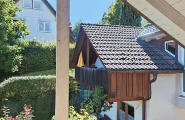 Hegauzauber - Foto 30