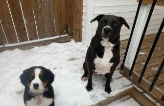 Soak n Stroll 2 State St Casino Firepit Dogs OK - Foto 56