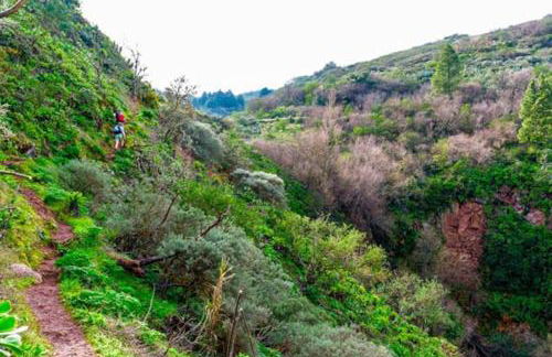 Casa La Veguetilla en San Mateo - Foto 36