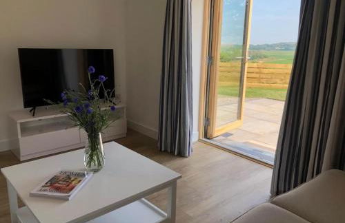 Bwncath & Hebog - Foto 13