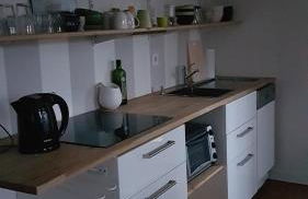 Villa im Park Wachwitzgrund - Große Ferienwohnung in EG der Villa - Foto 7