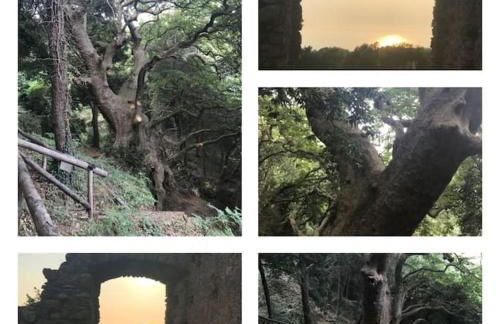 Pizzo Beach Club Luxury Apartment - Photo 21