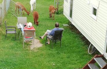 Eselhof Mobilheim - Foto 6