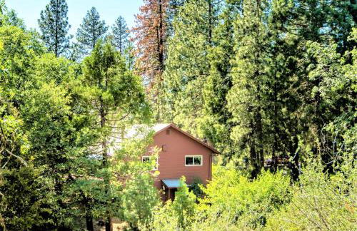 Sequoia Trails, mountains, fun & relax - Foto 43