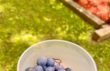 Modern & Cozy on Private Lane, Minutes to Airport - Foto 42