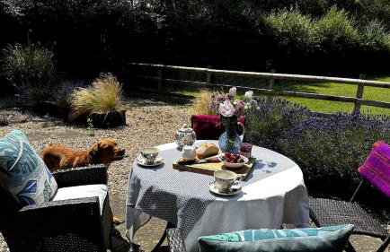 Cottage near Corfe & Jurassic Coast - Foto 23